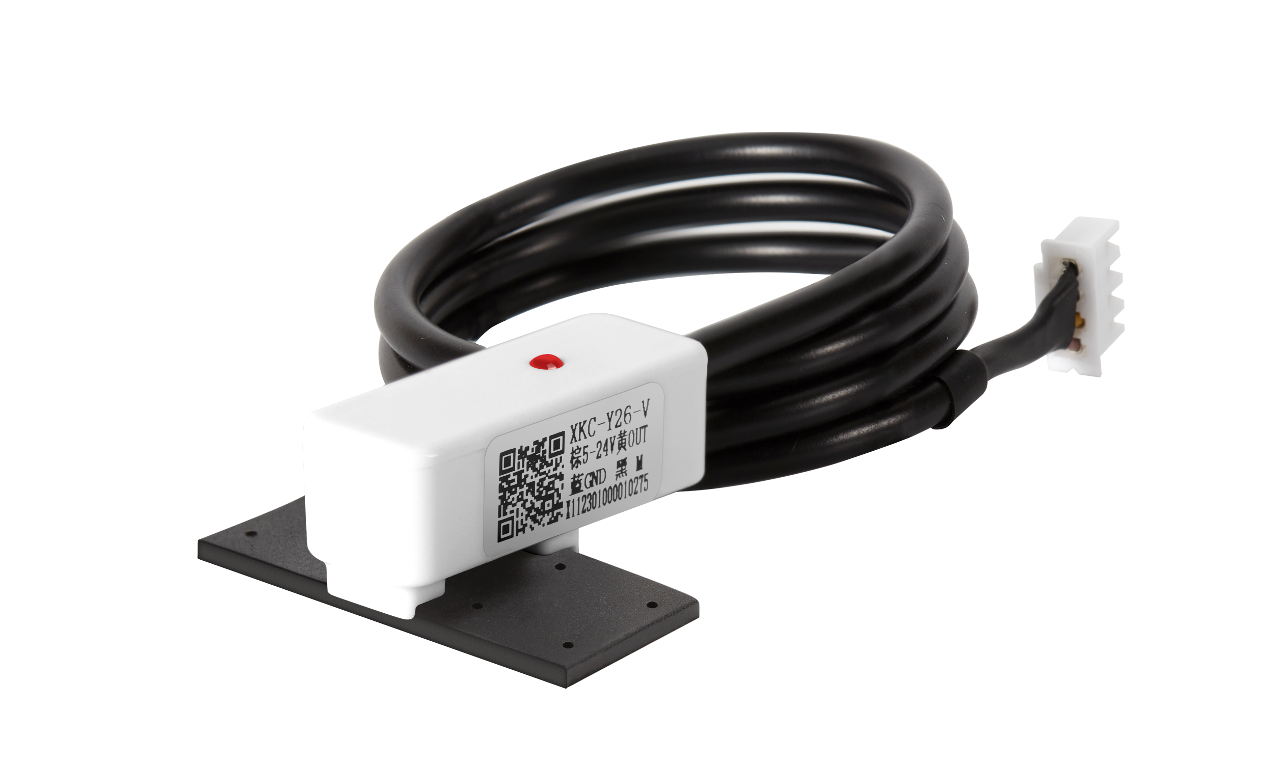 彩名堂-精准展望, 专业剖析