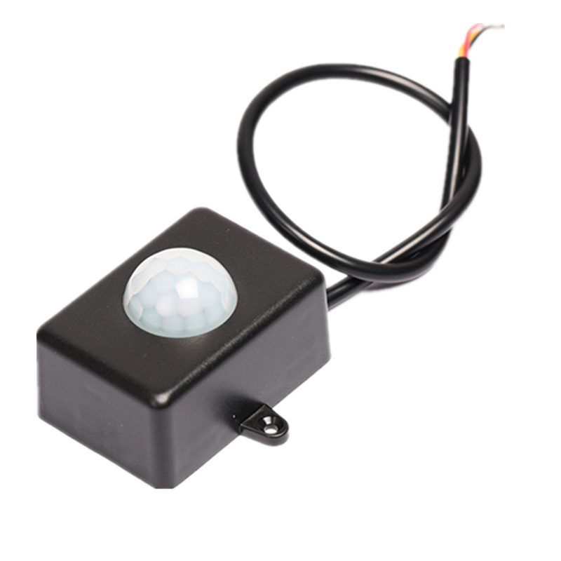 彩名堂-精准展望, 专业剖析