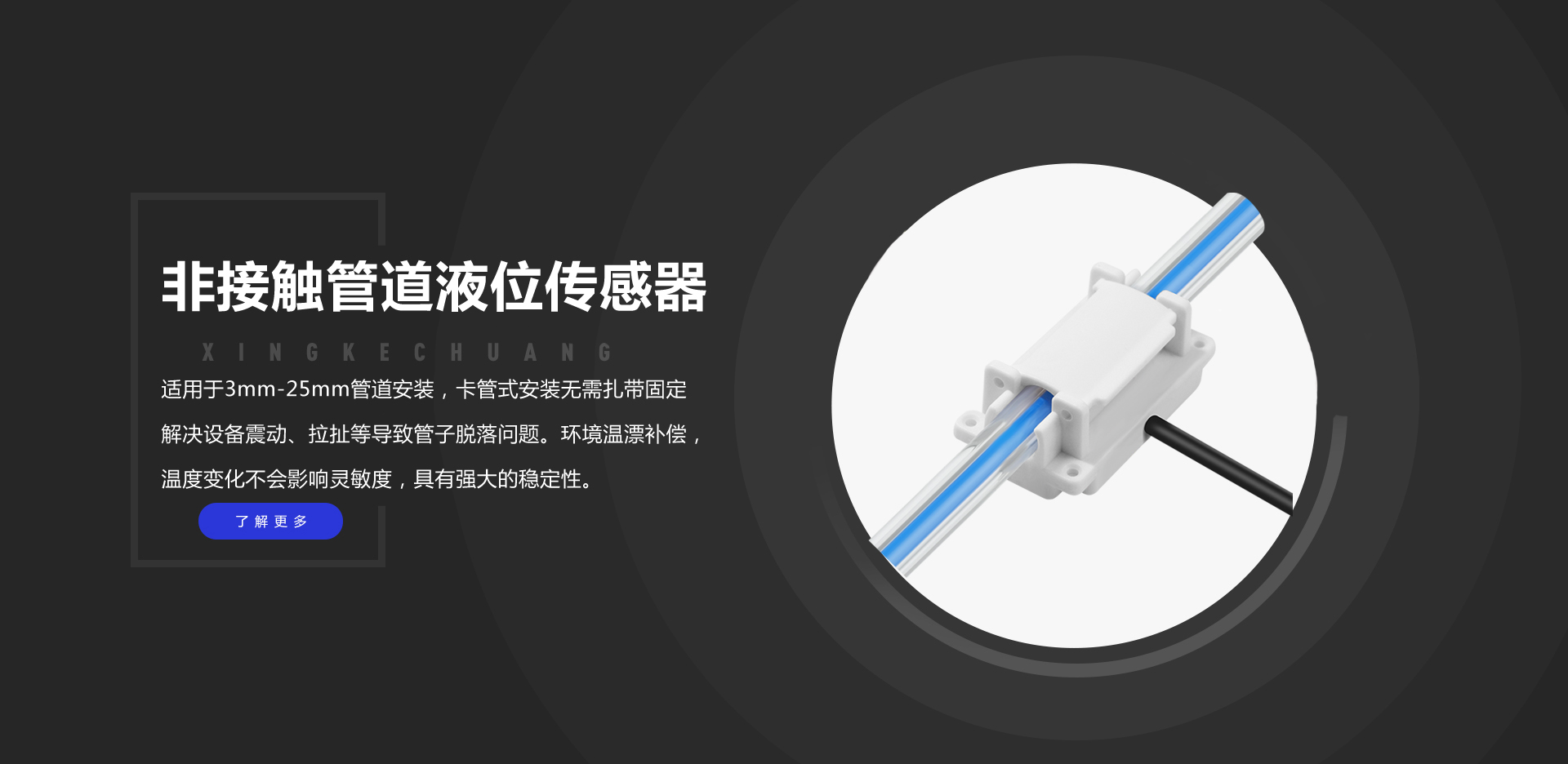 彩名堂-精准展望, 专业剖析