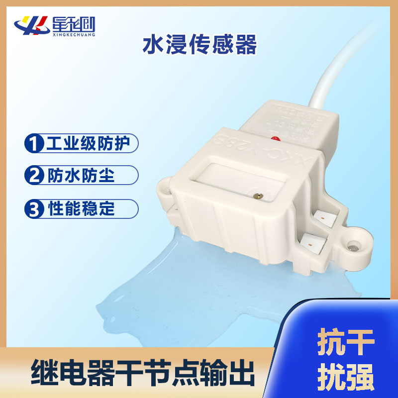 彩名堂-精准展望, 专业剖析